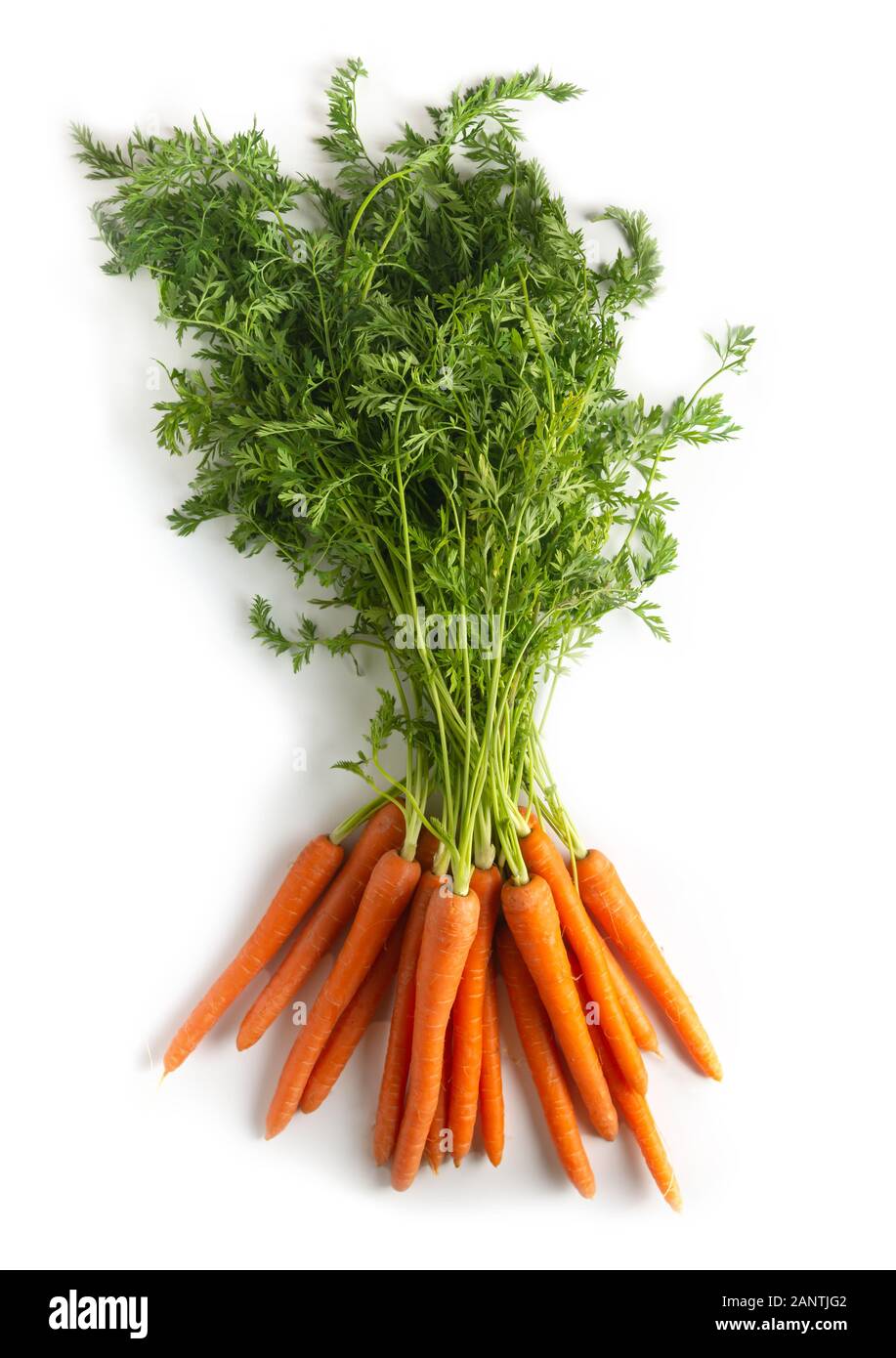 bunch of fresh carrots on white rustic background, overhead view Stock Photo