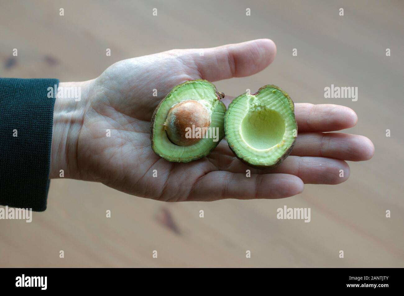Hand holding a ripe baby avocado cut open. Stock Photo