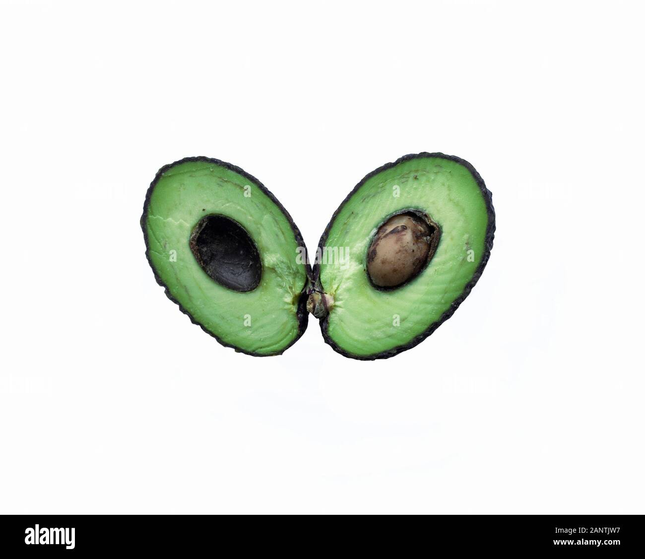 Ripe and fresh baby avocado shaped like a heart, isolated on white background Stock Photo