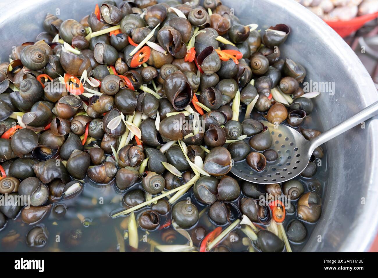 A bowl of fresh snails in a street food market in Da Lat in Vietnam