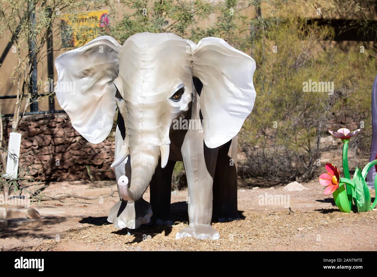 Model Elephant in Phoenix Zoo, Arizona, USA Stock Photo Alamy