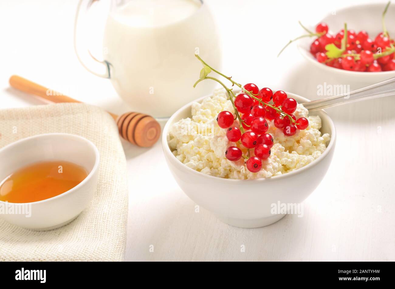 Cottage cheese and redcurrant in white bowl and honey on table, close up view Stock Photo