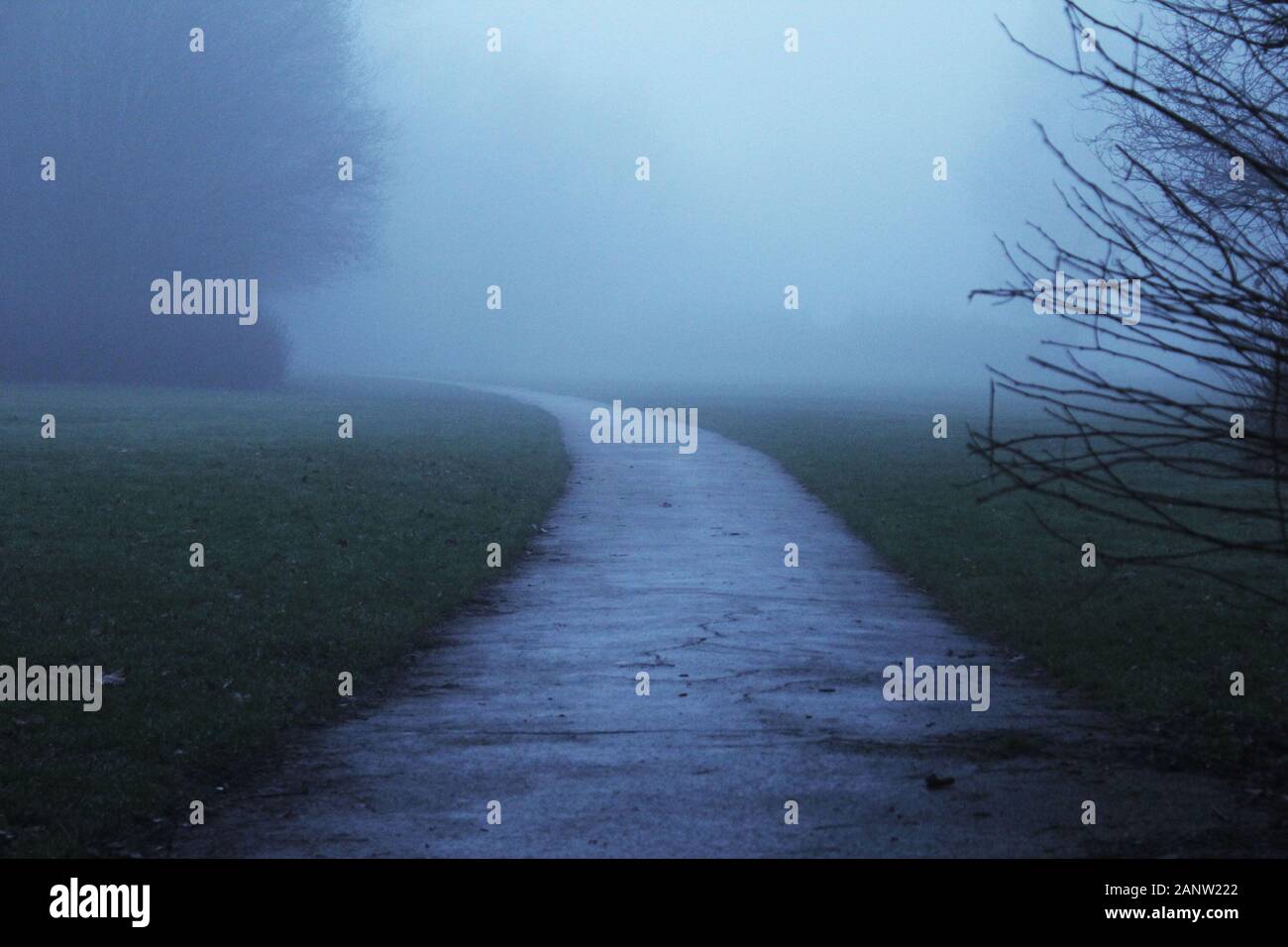Dark mysterious pathway hi-res stock photography and images - Alamy