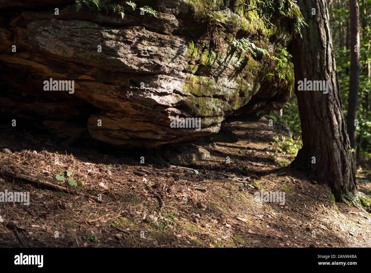niche in sandstone which is a part of mushroom rock in nature Reserve ...