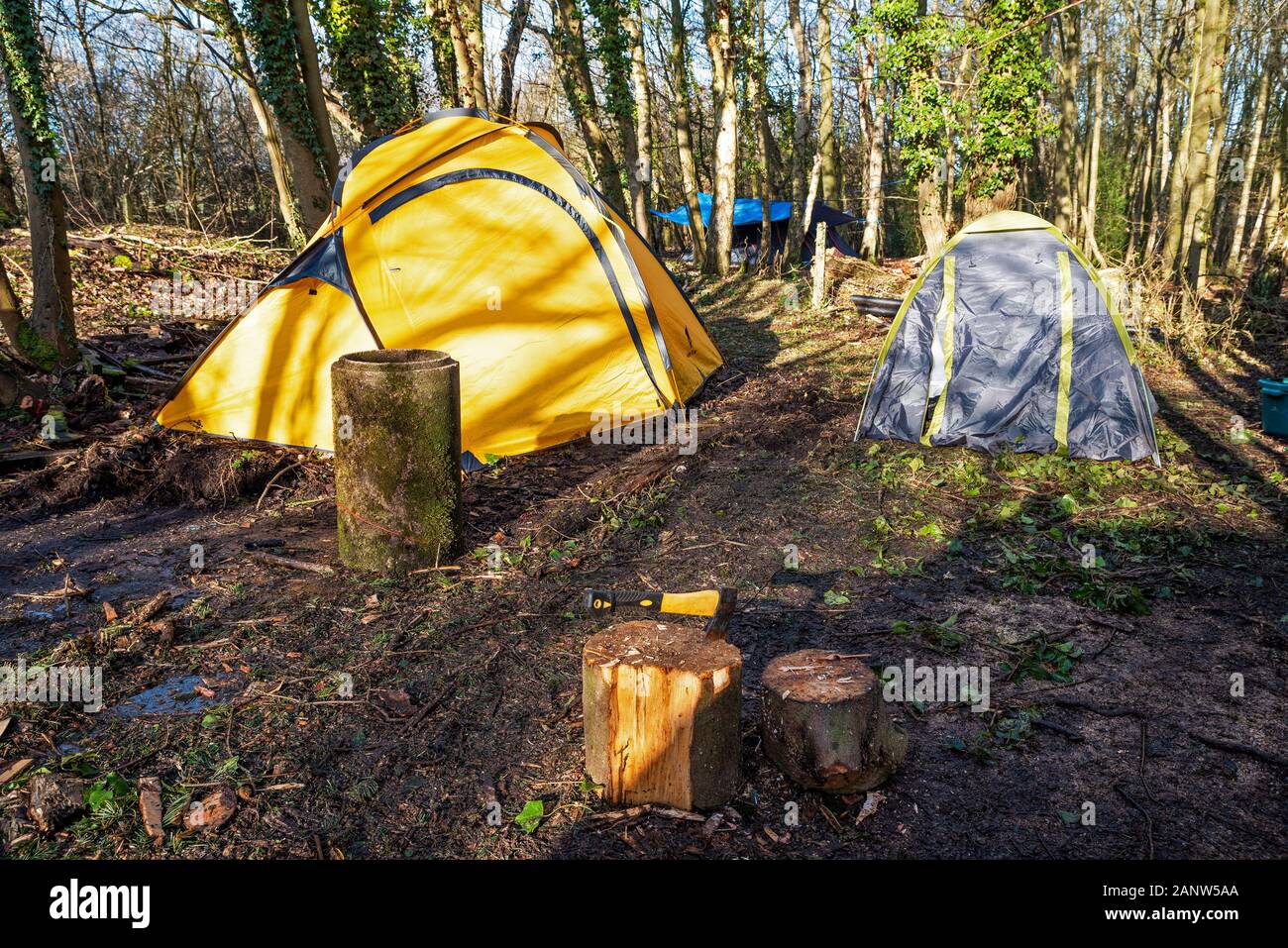 Wendover, Buckinghamshire, UK.18th January 2020. Determined campaigners opposing HS2 recently established the Wendover Active Resistance Camp in woodland south of Wendover adjacent to the the A413. The camp is in the path of the proposed HS2 rail line where it would cross the A413. The Wendover Active Resistance Camp intend to occupy their site for as long as possible, opposing the construction of the HS2 rail line. Tents occupied by stop HS2 campaigners. Credit: Stephen Bell/Alamy Stock Photo