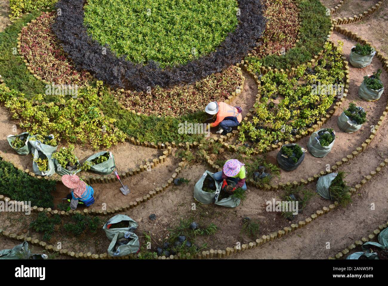Women work on planting a garden pattern at the pedestrian overpass in Quarry Bay Park in Hong Kong. Stock Photo