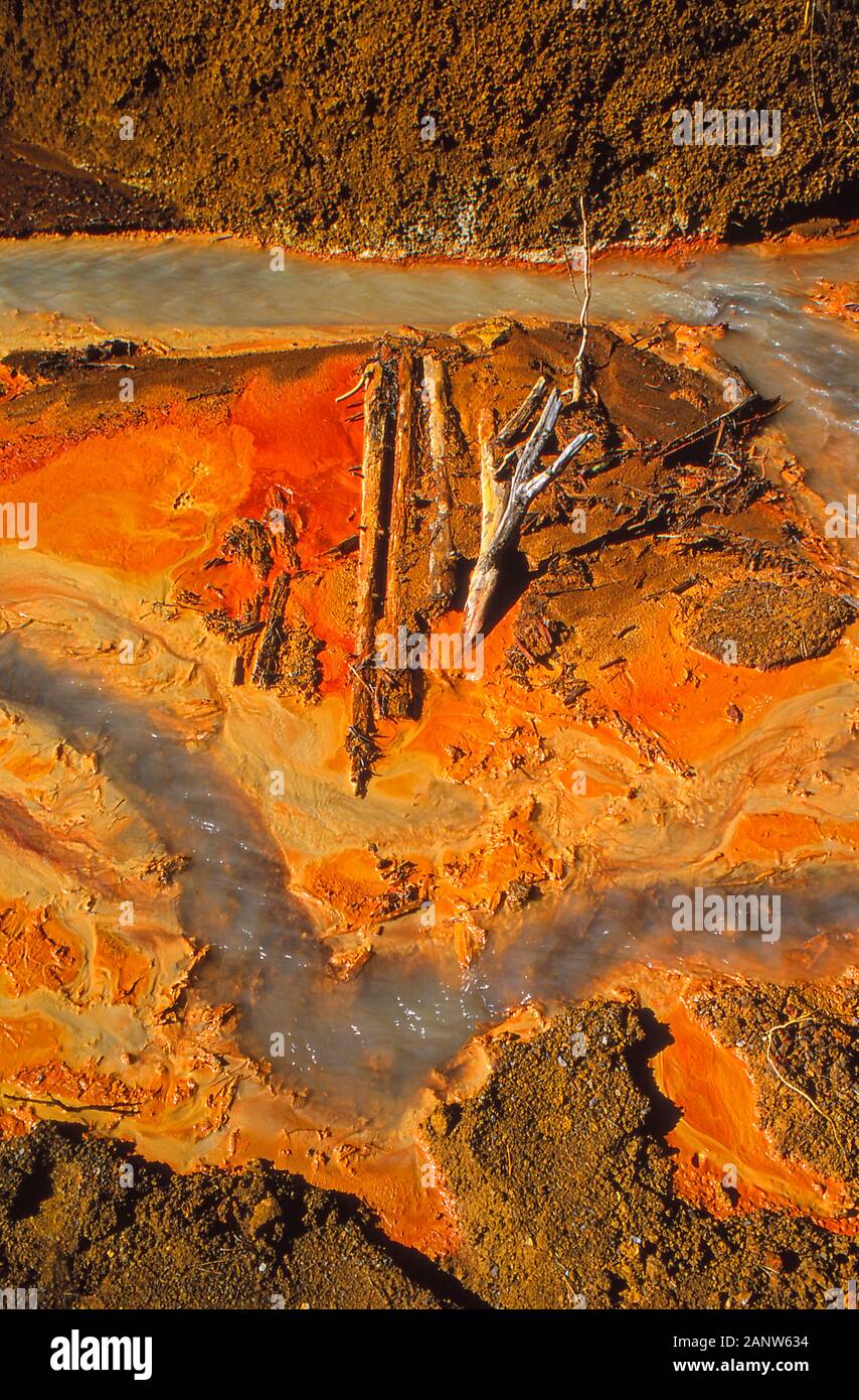 Red and orange ochre clay fields, Kootenay National Park  Canada. Stock Photo
