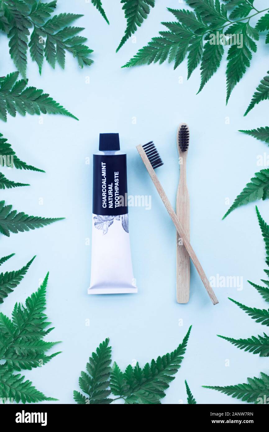 Two eco bamboo toothbrushes and charcoal mint natural toothpaste on ...