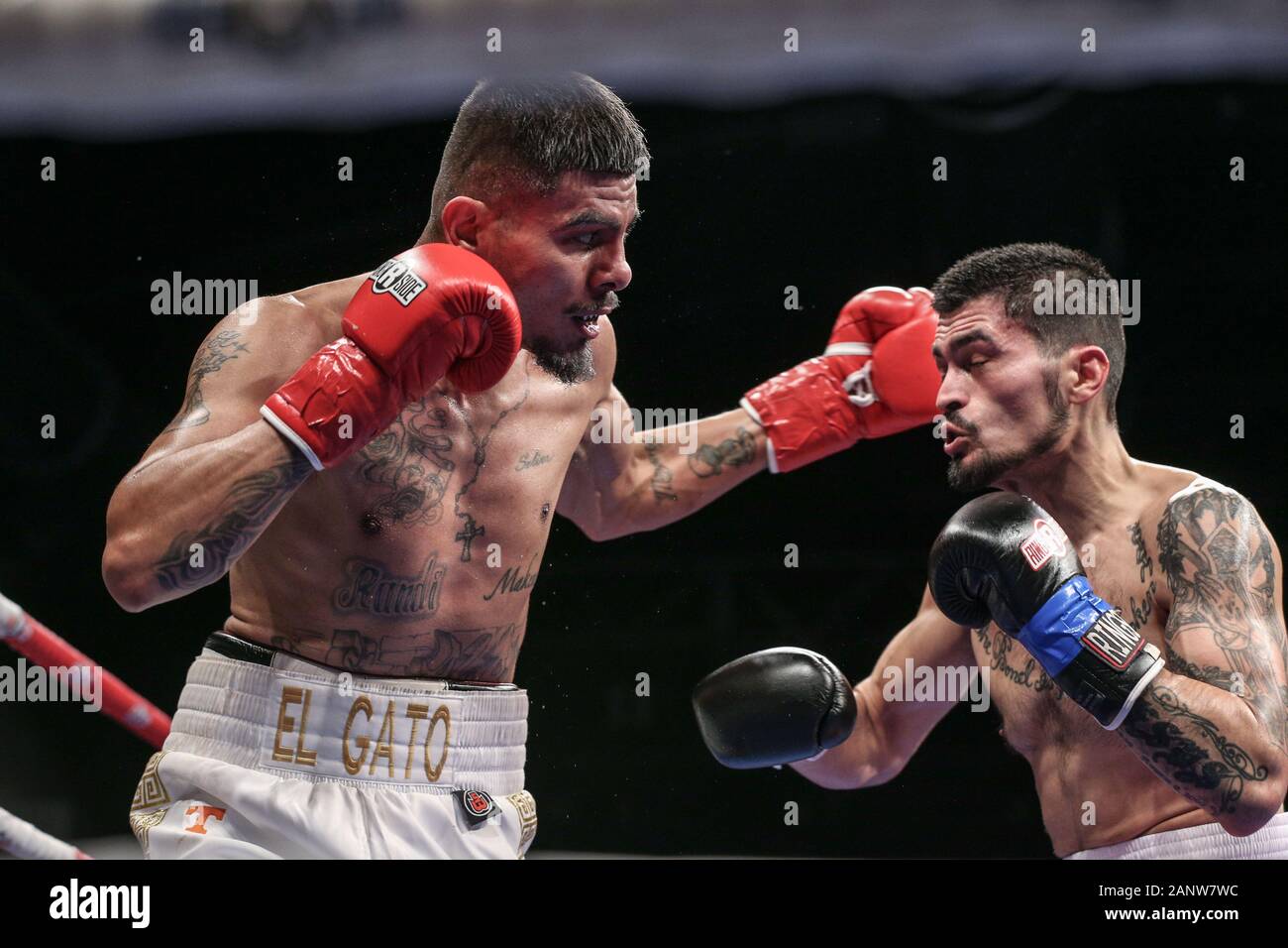 Left hook hi-res stock photography and images - Page 3 - Alamy