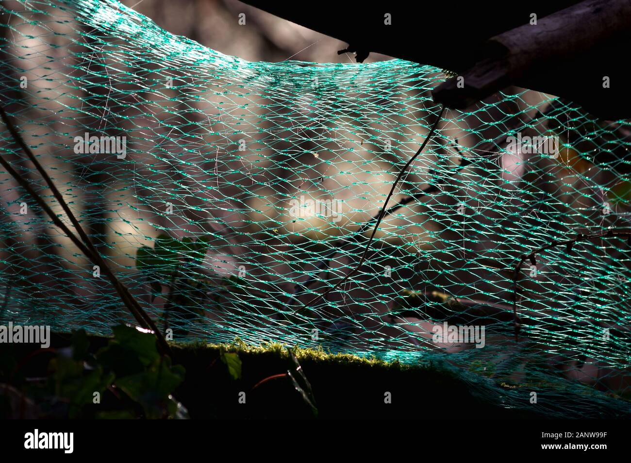 Green plastic netting Stock Photo Alamy