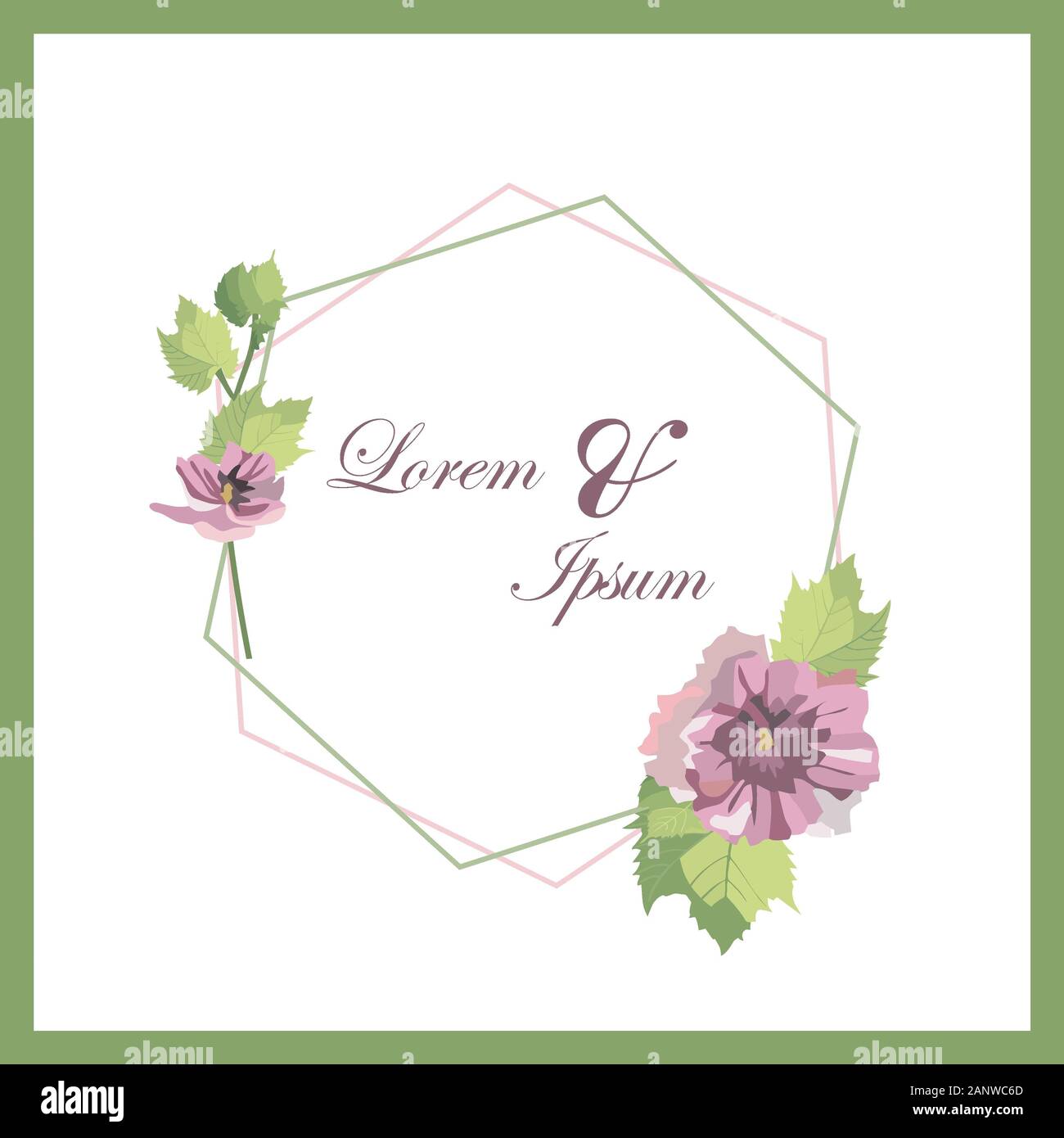 Set of card with flower and leaves for wedding invitation. Lettering . Floral poster, invite. Vector decorative greeting card or invitation design bac Stock Photo