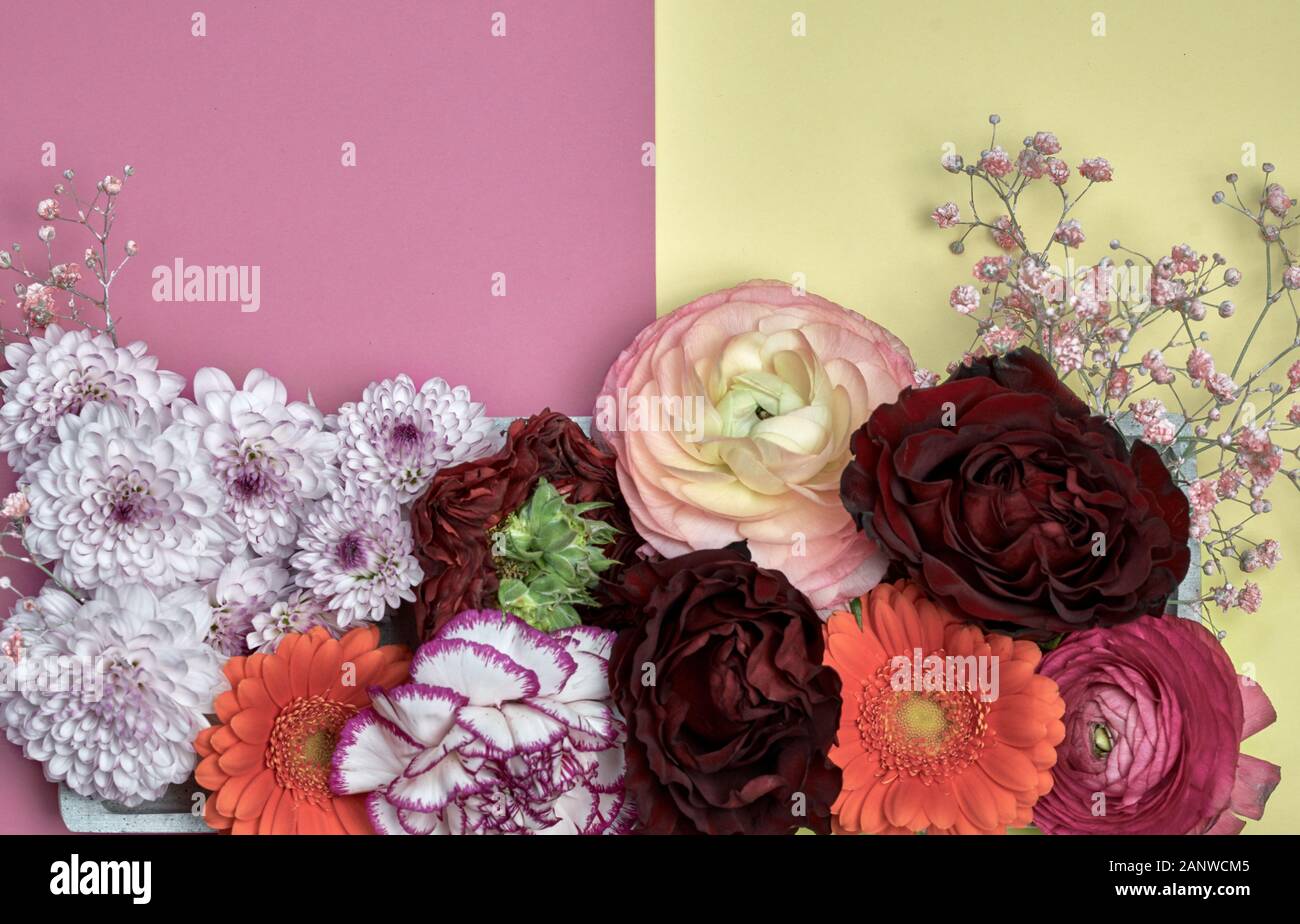 Colorful flower arrangement on pink and yellow background. Top view