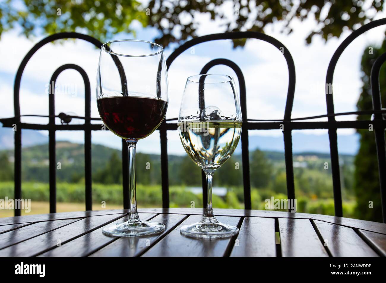 Red Wine Glass And White Wine Glass The Size Difference Of Wines