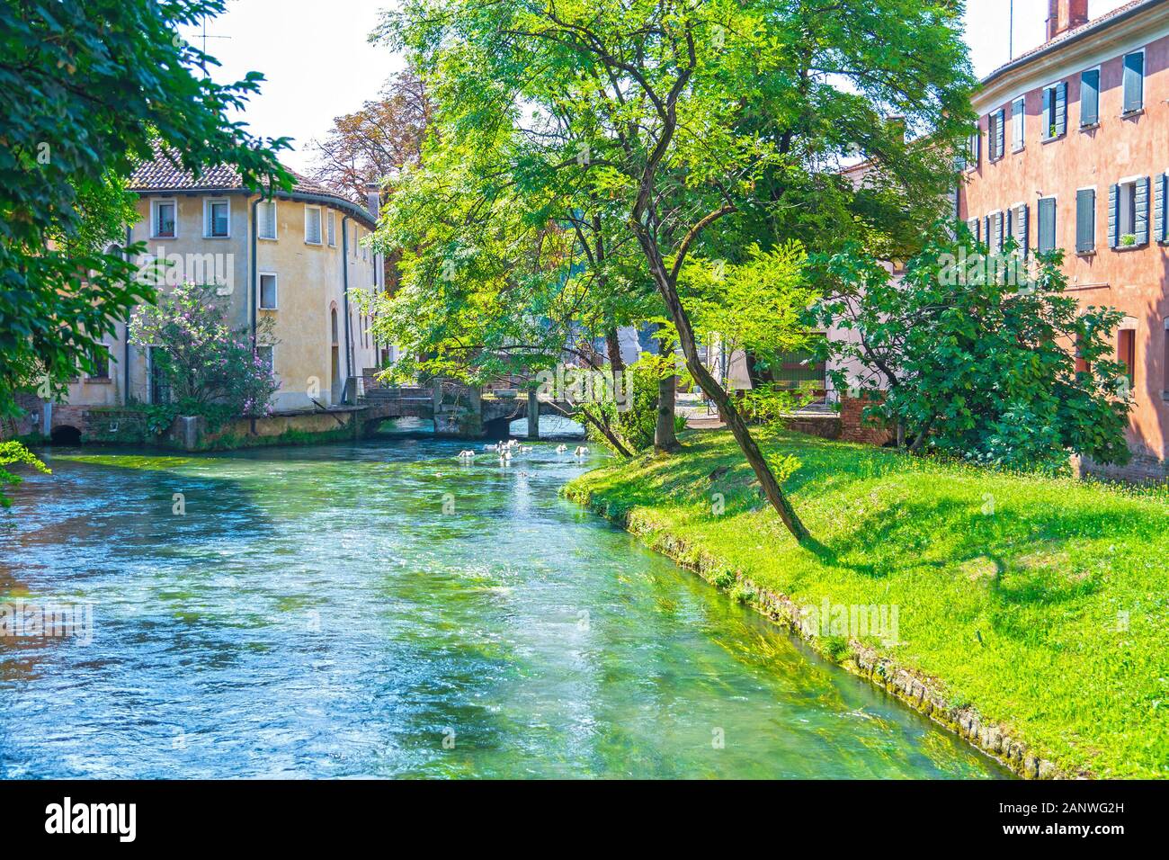 Treviso Botteniga Anglers A Practice Rooted in Place