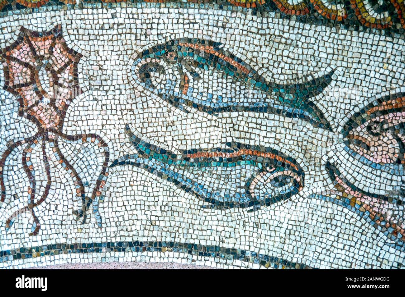 Ancient roman mosaic floor hi-res stock photography and images - Alamy image.