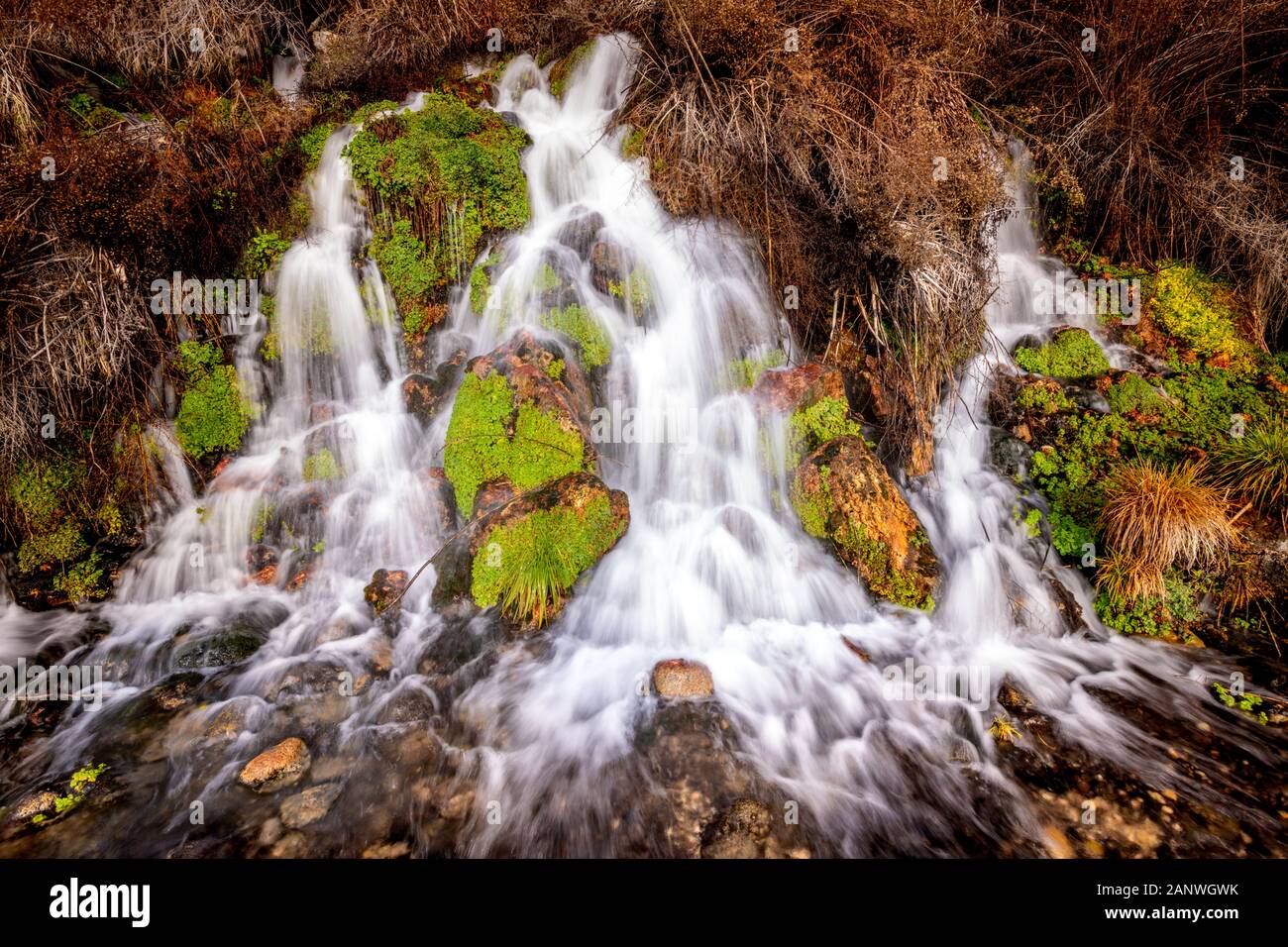 Thousand Springs Idaho with a small waterfall Stock Photo