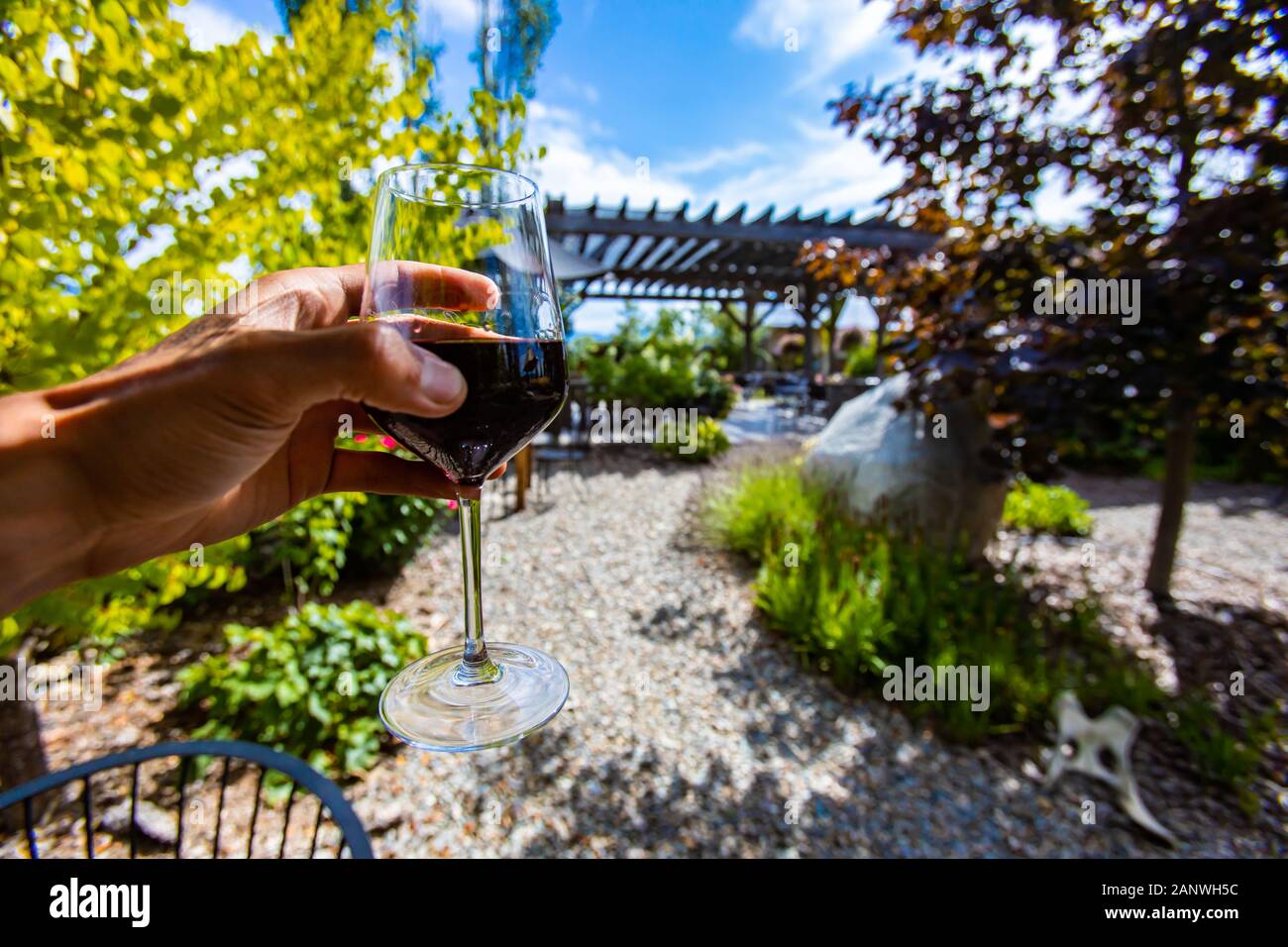 https://c8.alamy.com/comp/2ANWH5C/hand-holding-a-glass-of-red-wine-selective-focus-view-outdoor-wine-tasting-wineries-and-vineyards-of-okanagan-valley-british-columbia-canada-2ANWH5C.jpg