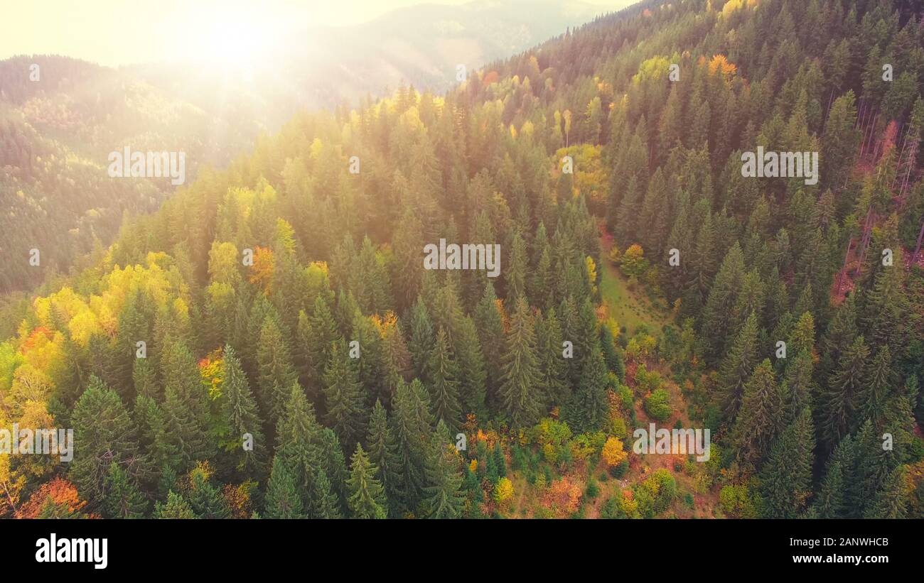Drone flight over canyon village hi-res stock photography and images ...