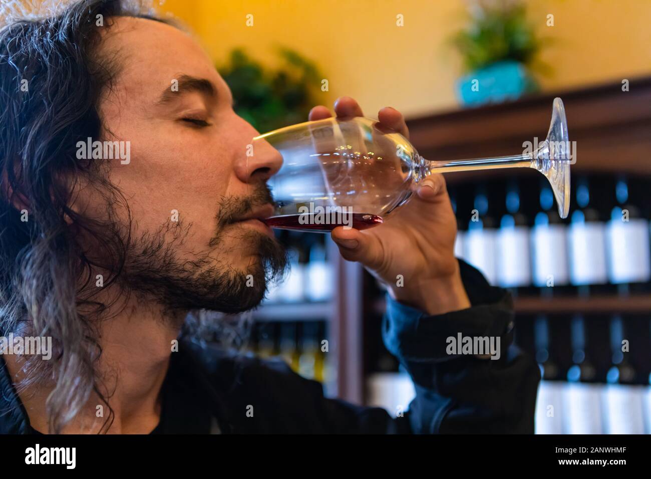 young caucasian man with long hair drinking and tasting red wine with