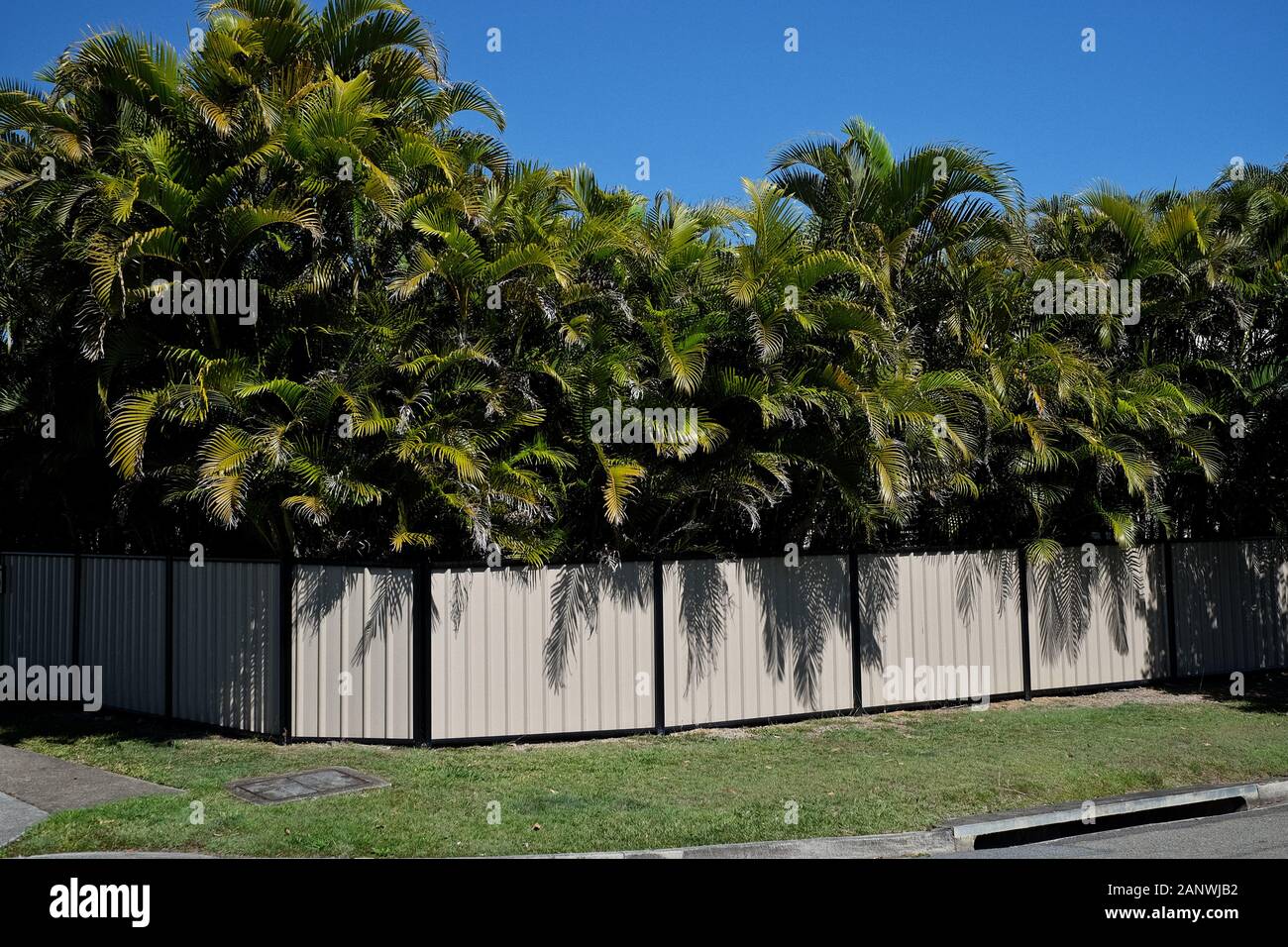 Post War Houses in the Brisbane suburbs of Carina, Camp Hill, Seven hills and Cannon Hill, their topography and modern 'new queenslander' equivalents Stock Photo