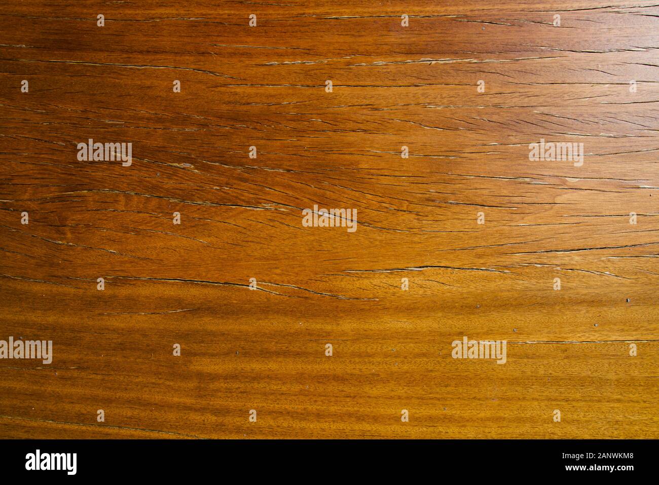 surface of a teakwood plank Stock Photo