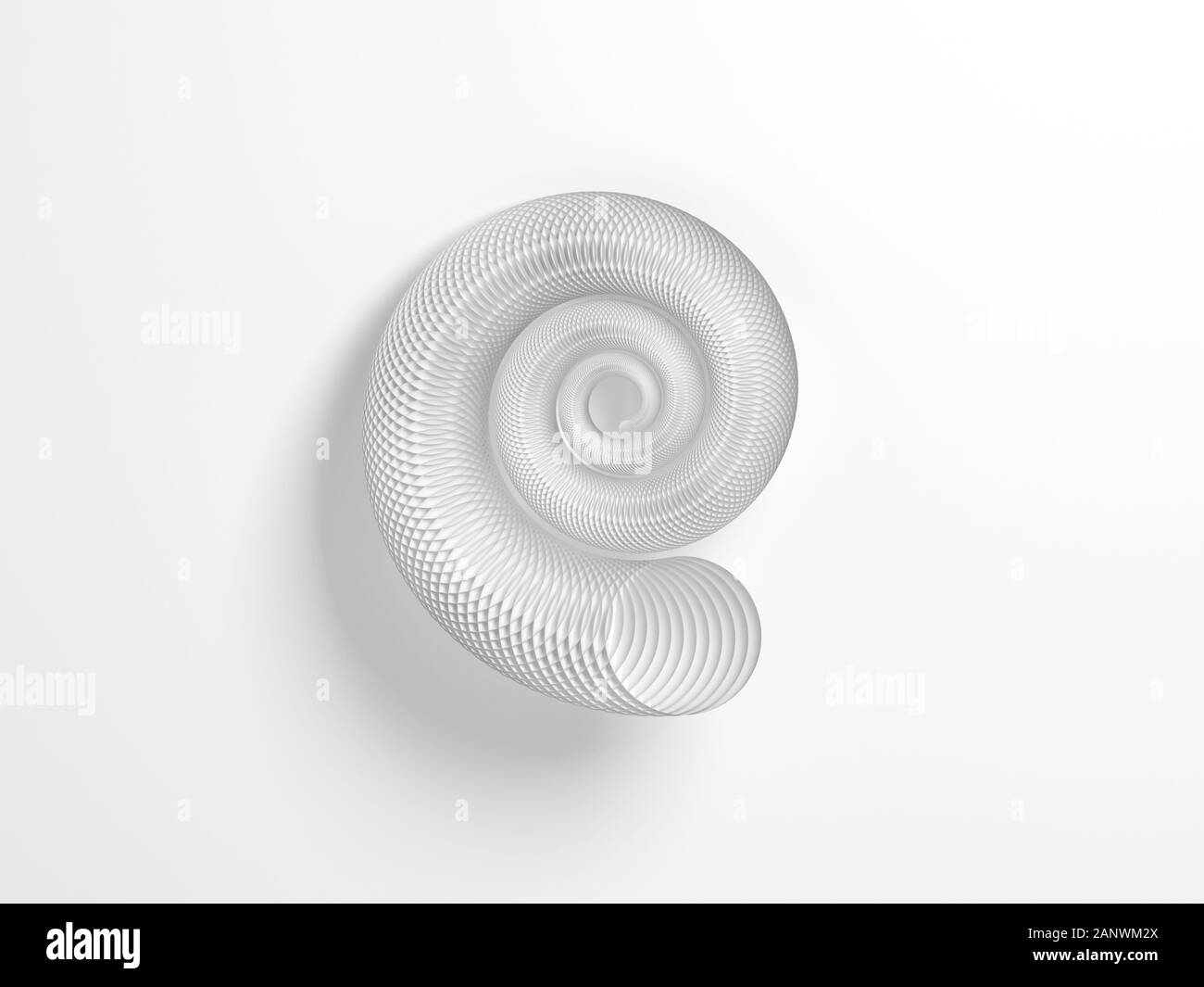 Abstract round spiral shell structure made of circles over white ...