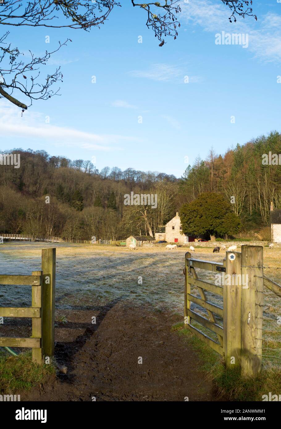 View through gate towards Plankey Ford Farm on Allen Banks walk in Northumberland, England, UK Stock Photo