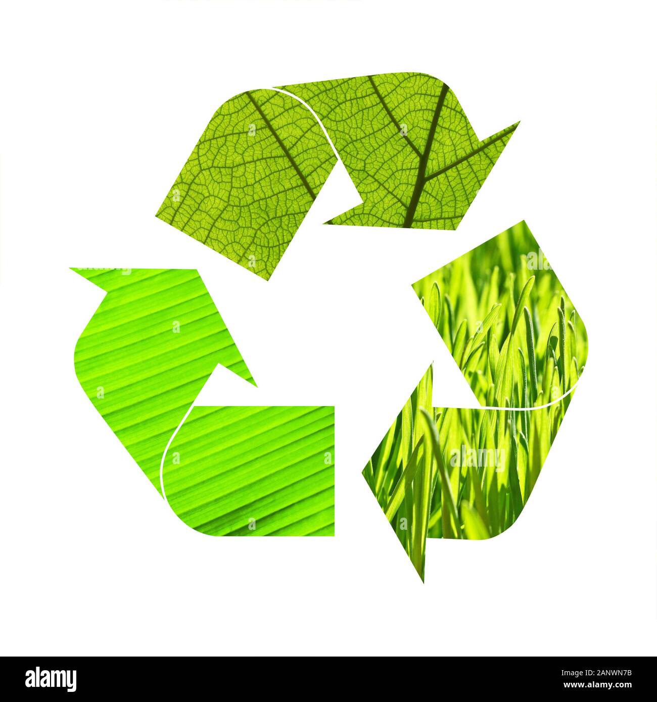 Illustration recycling symbol of green grass and leaves foliage ...
