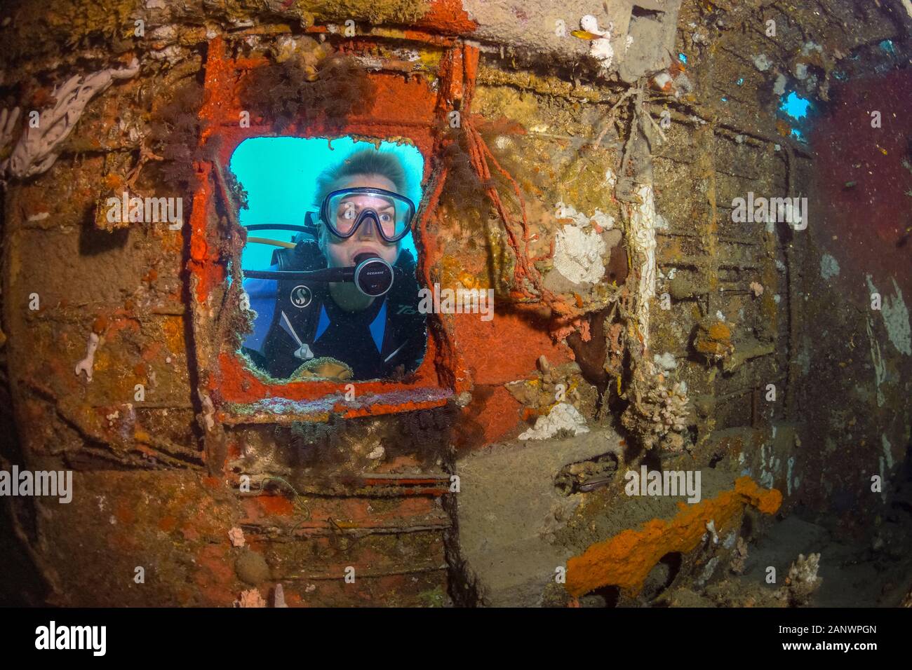 A female diver investigating the interior of a B-25 Mitchell Bomber ...
