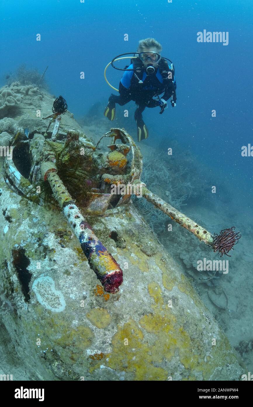 A female diver investigating the machine guns of a B-25 Mitchell Bomber ...