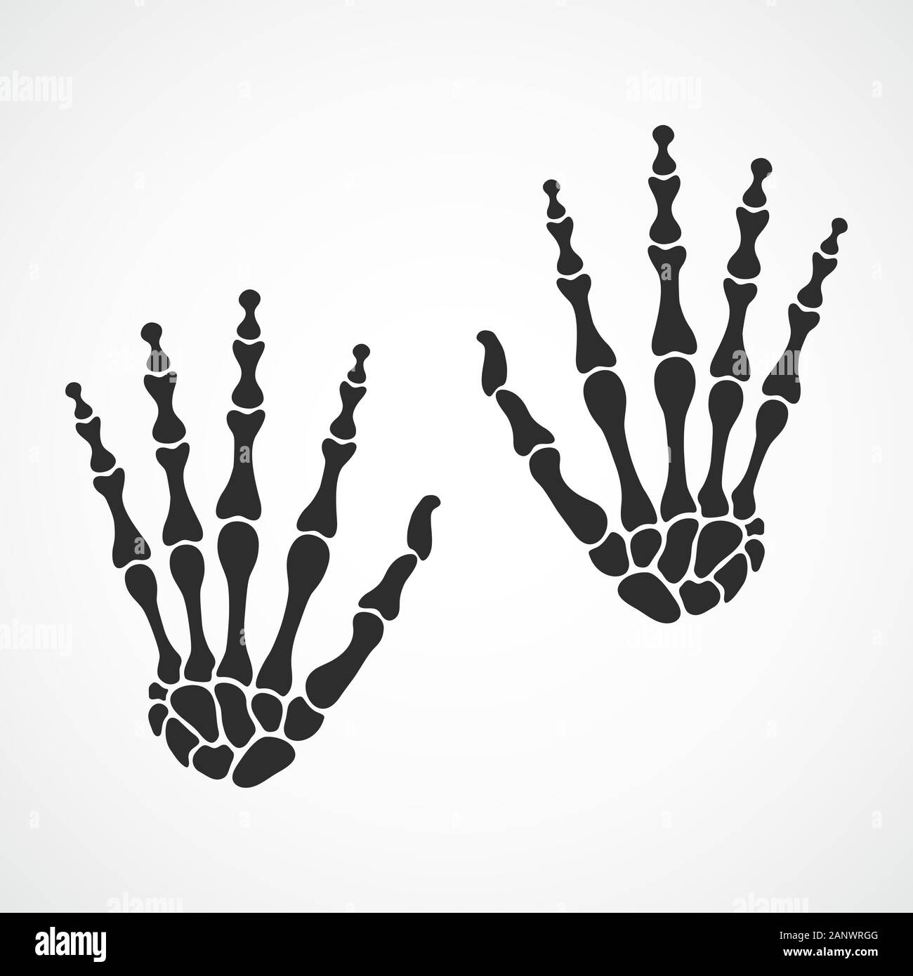 Bones of both hands on light background. Skeleton hand. Vector  illustration. The skeleton human hand Stock Vector Image & Art - Alamy