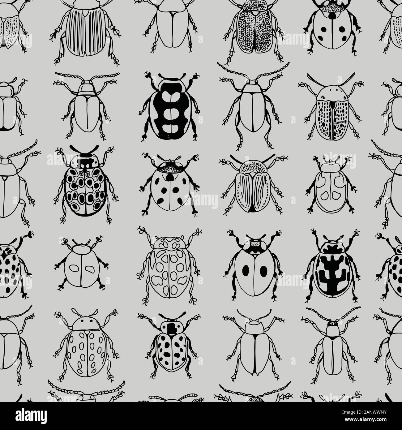 Monotone Beetles Black Linework Doodle Design Seamless Pattern on Grey Background Stock Vector