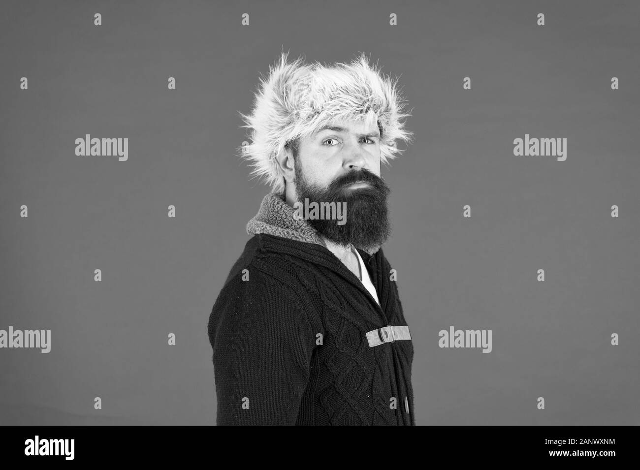 Hipster rustic style furry hat. Fashion menswear shop. Masculine clothes concept. Winter menswear. Clothes design. Man bearded stand warm jumper and hat on red background. Winter season menswear. Stock Photo