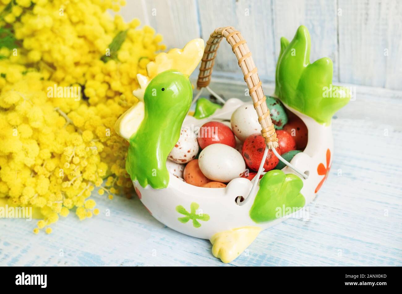 Easter egg in a ceramic chicken and Mimosa flowers, on a wooden blue background. Easter Wallpaper. Stock Photo