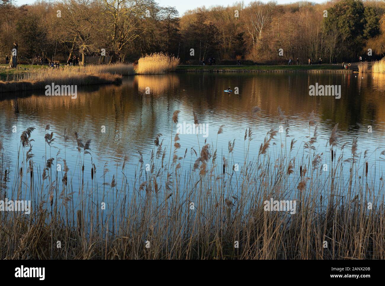 Hampstead Heath open space in London: Model boating pond Stock Photo