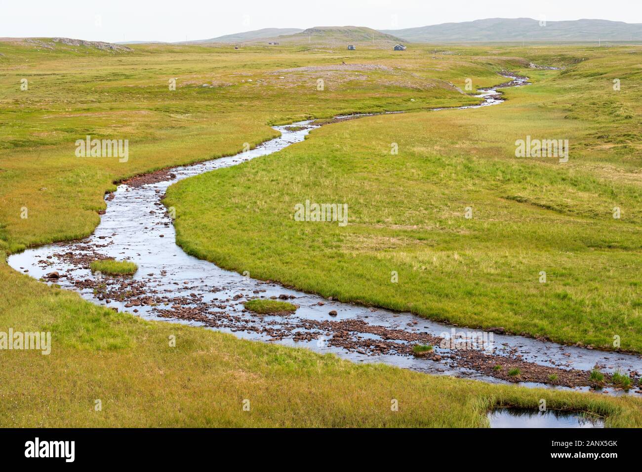 Meandering mountain creek running through tundra landscape, creek banks covered with green grass
