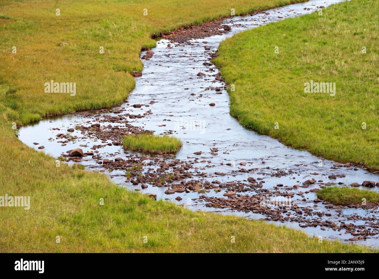 Meandering mountain creek running through tundra landscape, creek banks covered with green grass