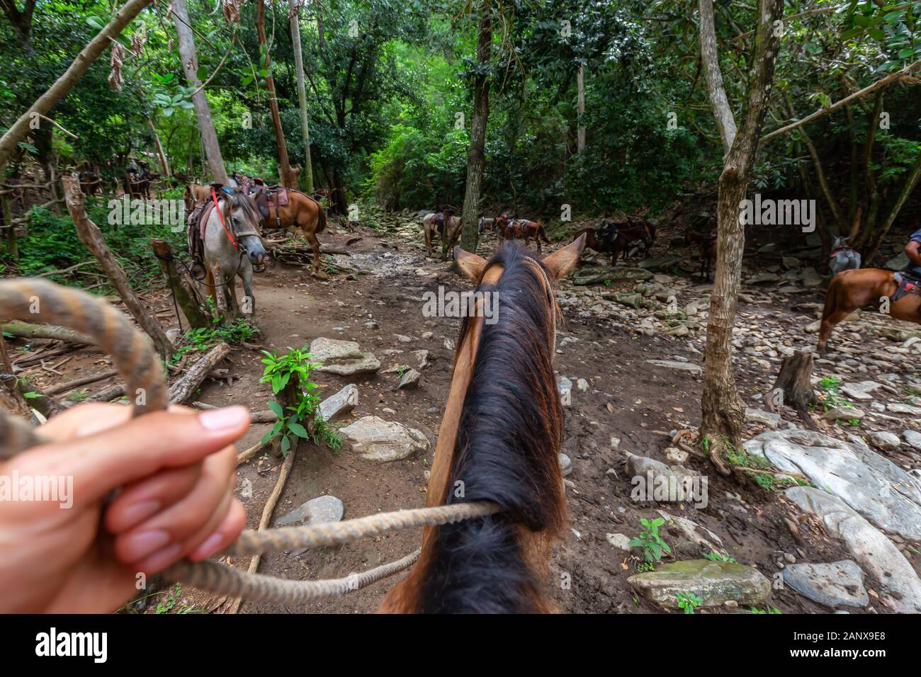 Horseback Riding in Trinidad, Cuba Stock Photo