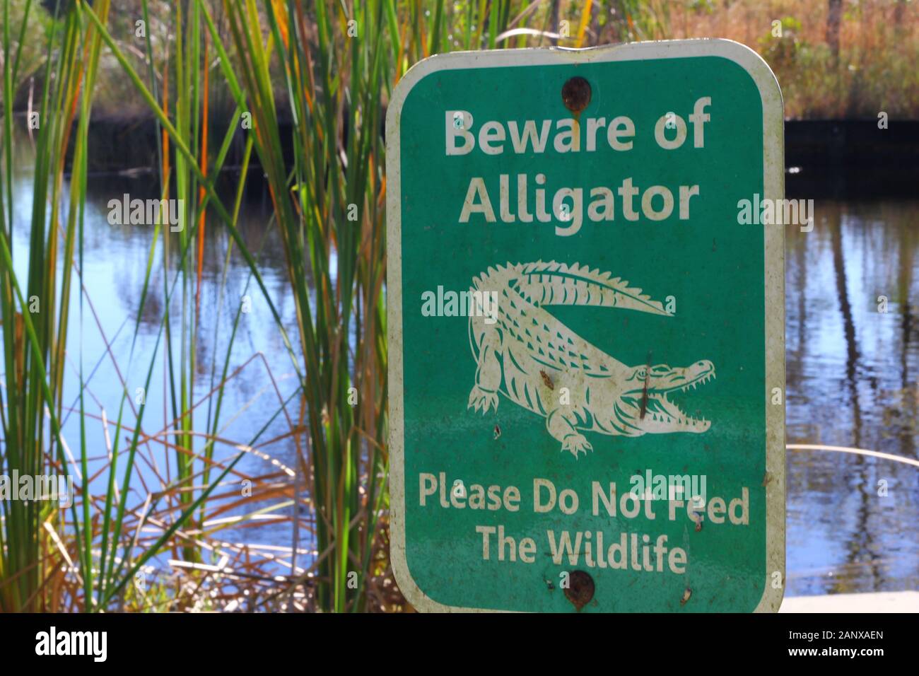 Alligator Warning Sign, Florida Stock Photo Alamy
