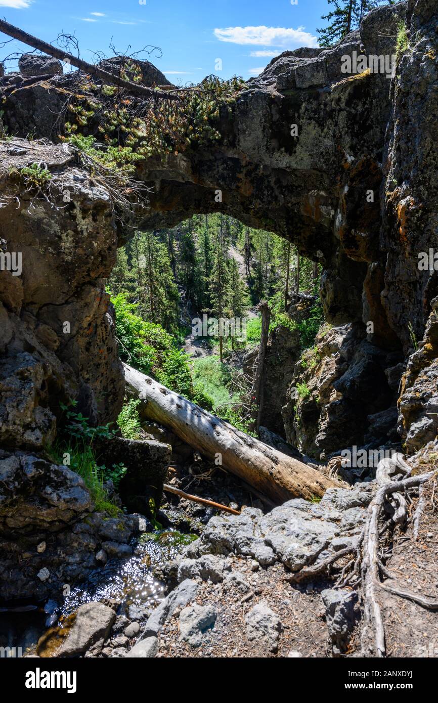 Behind Natural Bridge in Yellowstone wilderness Stock Photo Alamy