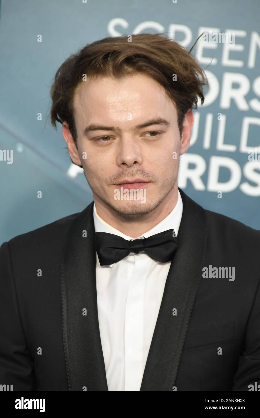 Los Angeles, California, USA. 19th Jan 2020. Charlie Heaton arrives for the 26th Annual Screen ActorsÊGuild Awards at The Shrine Auditorium on January 19, 2020 in Los Angeles, California. (Photo by Sthanlee B. Mirador/Sipa USA) Credit: Sipa USA/Alamy Live News Stock Photo