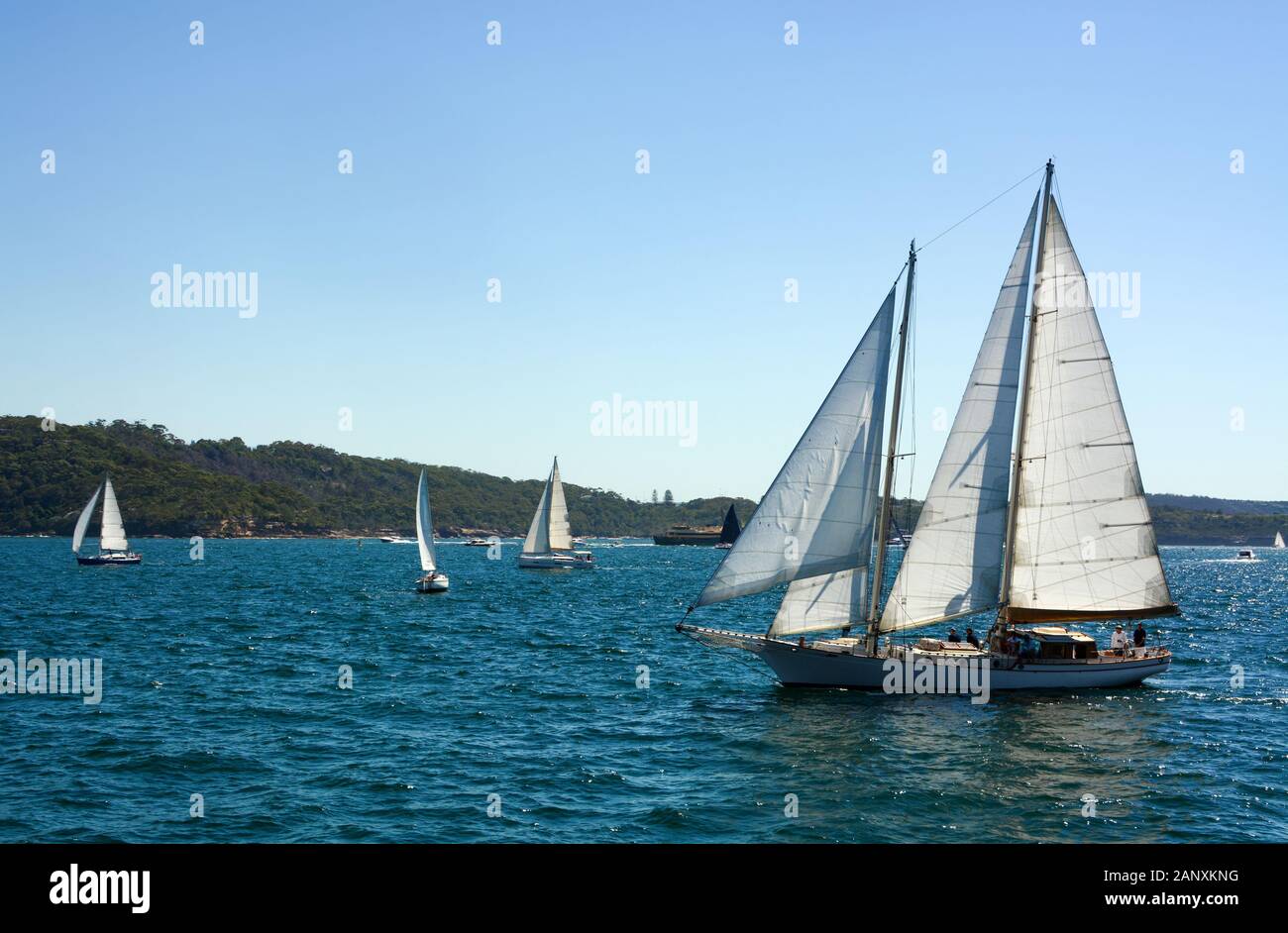 Sailboat with open sails cruising over choppy water in Sydney Harbor, Australia Stock Photo