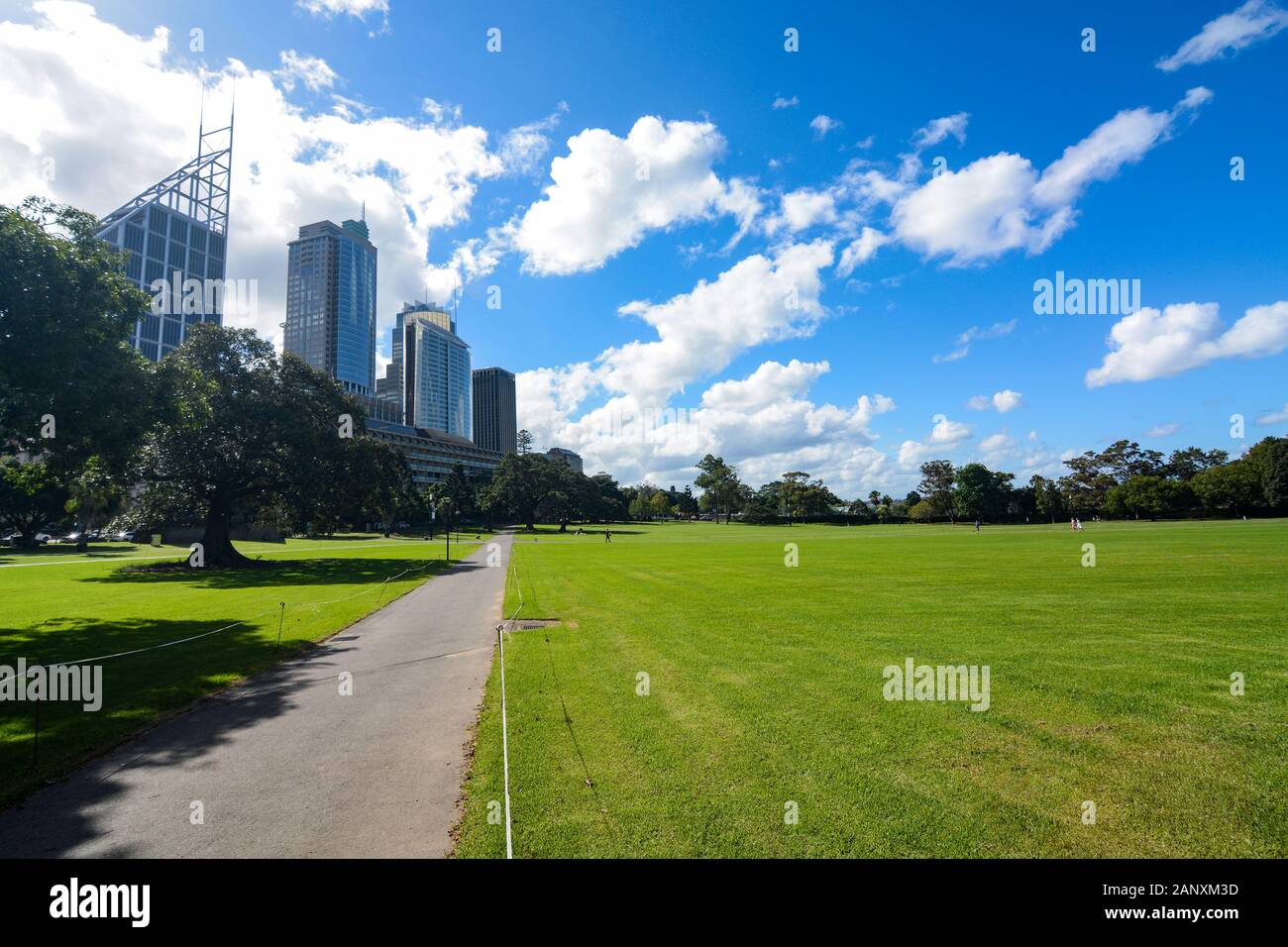 Grassy open space at The Domain, a huge park next to the Sydney central business district in Australia Stock Photo