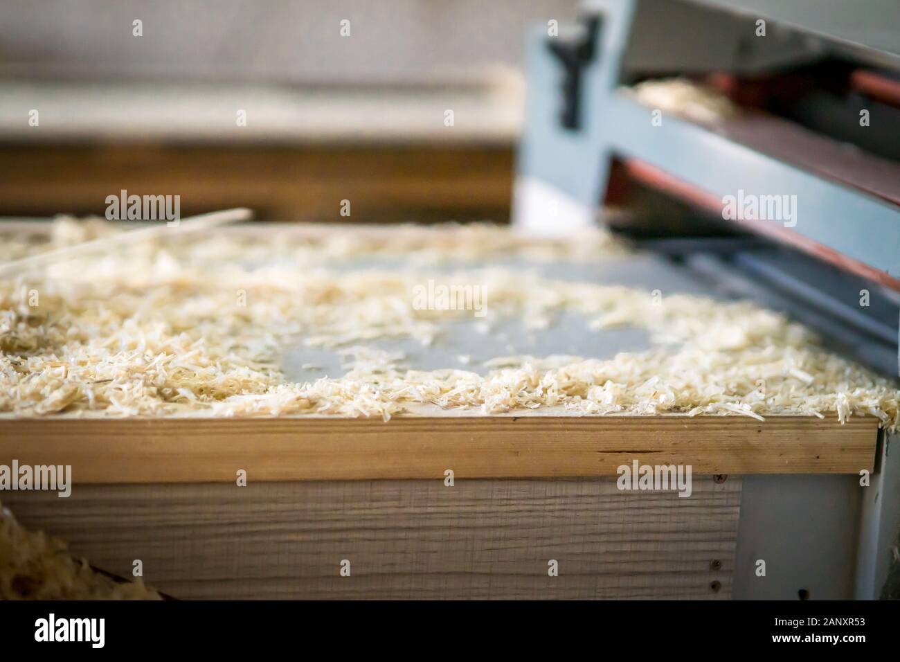 wood saw dust pile at a woodworking workshop. Stock Photo