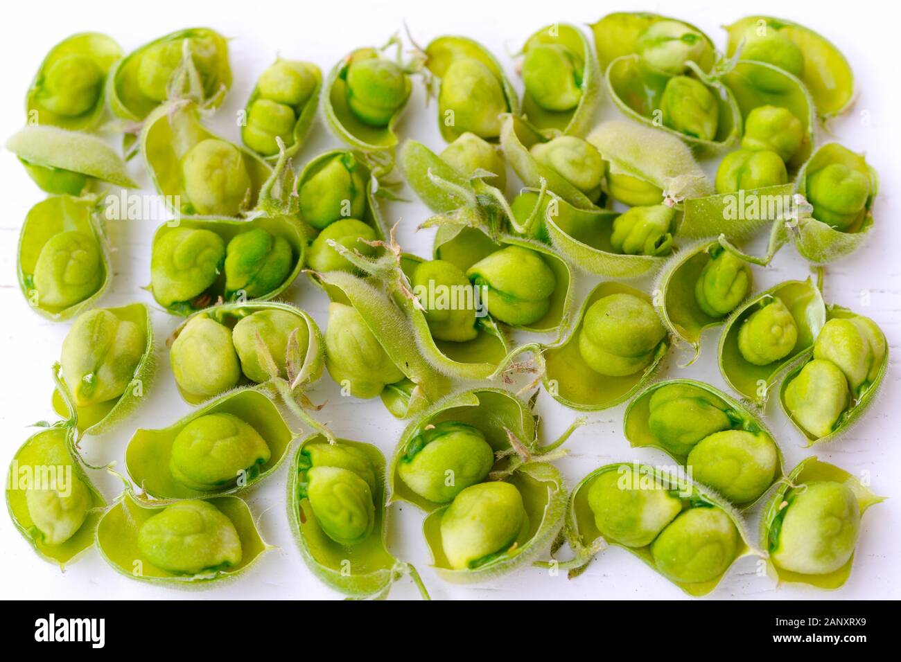 raw green fresh chickpeas. Heap of legume chickpea background Stock