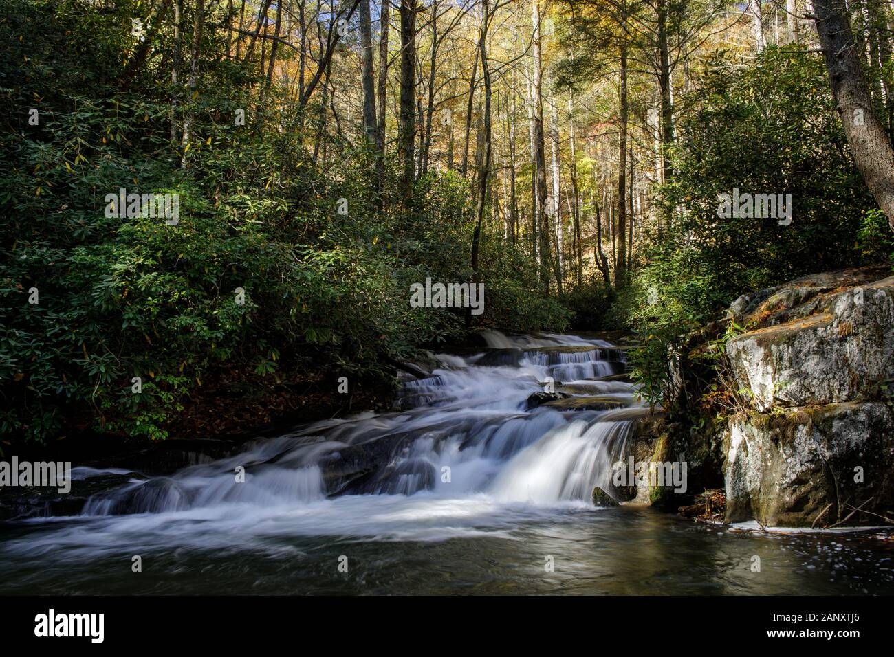 Autumn, Rabun County, Georgia. Late autumn colors along Wildcat Creek. Wildcat Creek is located in Rabun County in north Georgia.  It flows generally Stock Photo