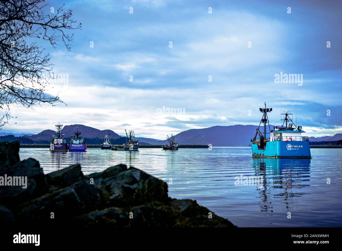 Commercial fishing tender boats anchored in Sitka harbor during the Sitka Sound sac roe herring fishery in Sitka, Alaska, USA. Stock Photo