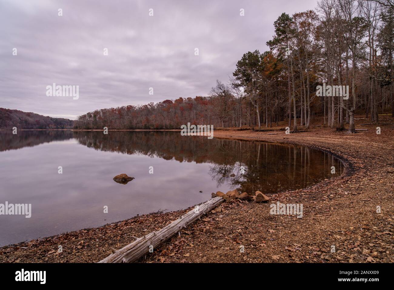 Cloudy Fall Morning, Lake Sidney Lanier. Late November cloudy morning reflected on the water's surface at Wahoo Creek Park. Wahoo Creek Park is a recr Stock Photo