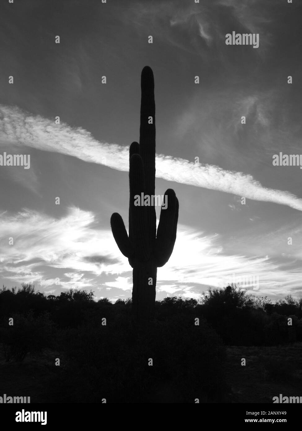 Silhouette sunset grand canyon arizona Black and White Stock Photos ...