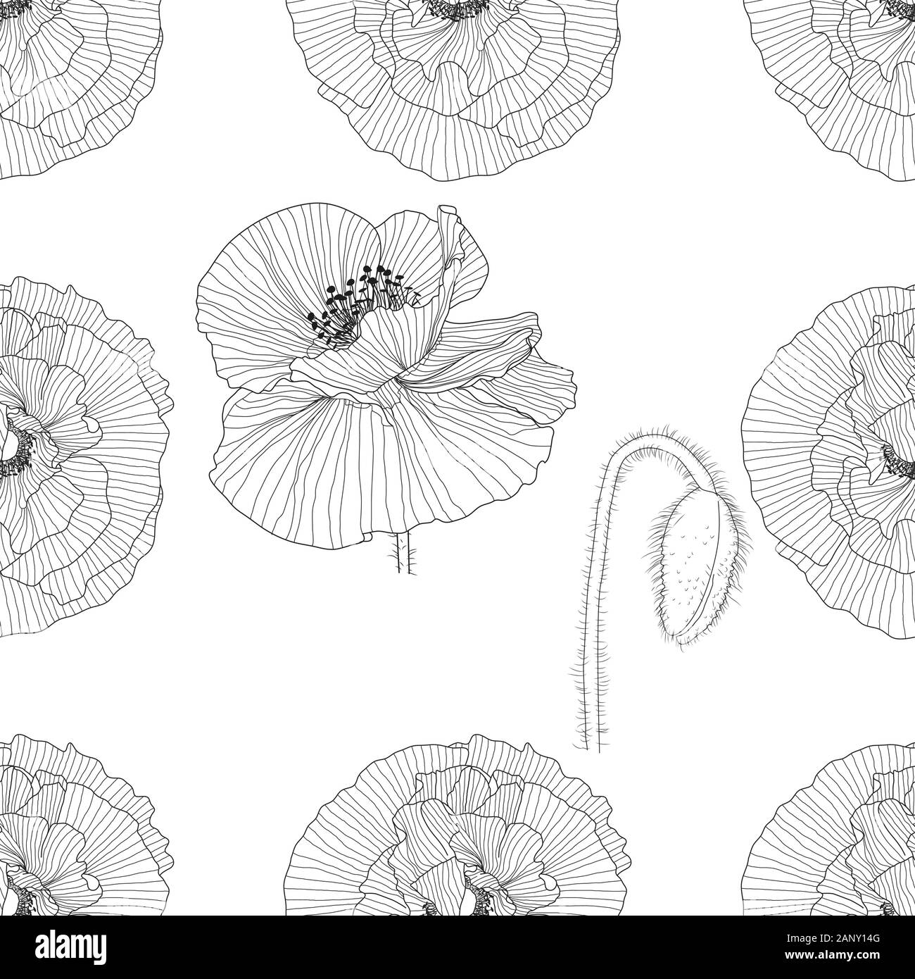 seamless pattern of black and white poppies Stock Vector Image & Art ...